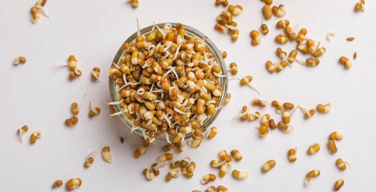 Salmonella Outbreak Linked to Frozen Sprouted Beans Sold Nationwide