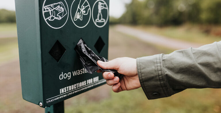 The Dirty Truth About Dog Poop Bags: What’s Happening in Landfills—and What You Can Do