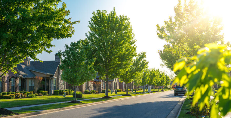 Tree-Lined Streets, Healthier Minds: Nature Cuts Mental Health Issues by 60%