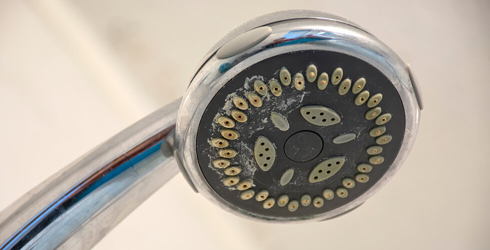 Watch Out: Sneaky Spots Mold and Mildew Love to Hide in Your Bathroom