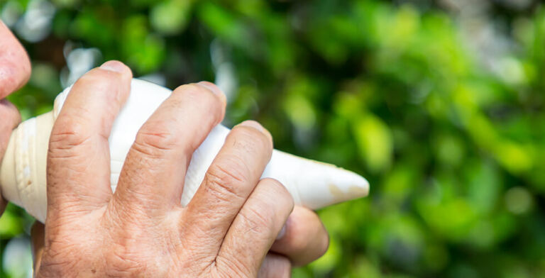 Blowing Away Sleep Apnea? Ancient Conch Shell Practice Shows Promise