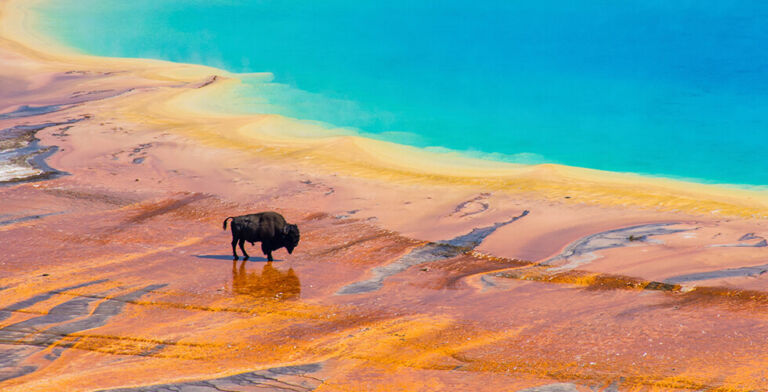 Don’t Believe the Yellowstone Eruption Rumors — Here’s What’s Really Happening