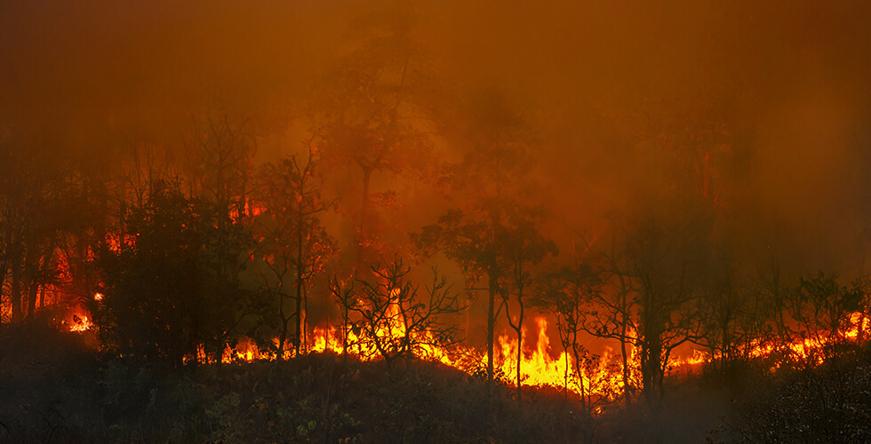 Explosive Canyon Fire Forces Mass Evacuations as Heatwave Fuels California Wildfire Crisis