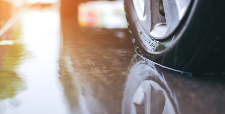 From Tires to Table: How Farm Waste Could Save Fish from Microplastic Poisoning