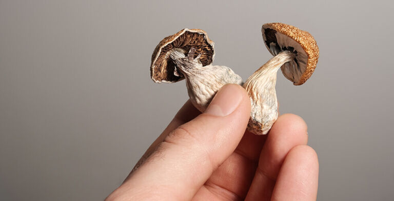 Magic Mushroom Compound May Be the Key to Longer, Healthier Lives, Study Finds