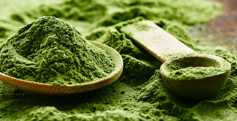 Matcha Mania: Harvard Doctor Says Japanese Green Tea Powder Could Help Fight Cancer