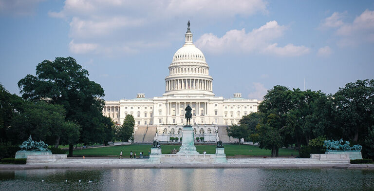 Republican States Step Up to Support Trump’s Mission to Restore Order in Washington