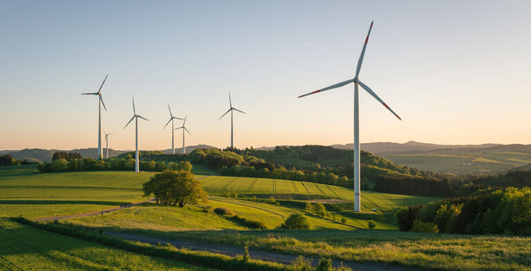 The Dark Side of Wind Power: Why Turbines May Not Be the Energy Savior We’re Told