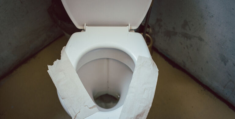 The Dirty Truth About Toilet Seats: What You Really Need to Worry About
