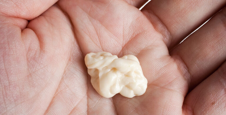 The Truth About Swallowing Gum: Should You Really Worry?