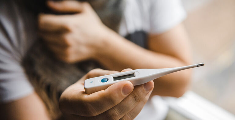 Valley Fever on the Rise: What You Need to Know and How to Stay Safe